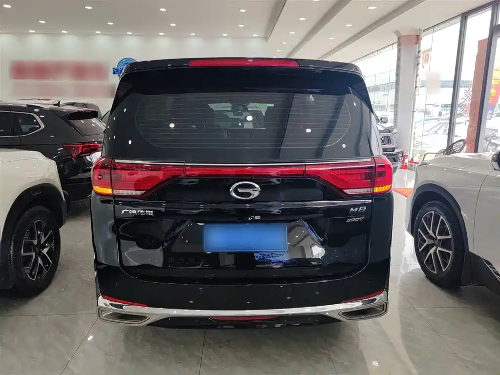 GAC Trumpchi Trumpchi M8 2024 Leadershow Series 390T Luxury Edition фото 7