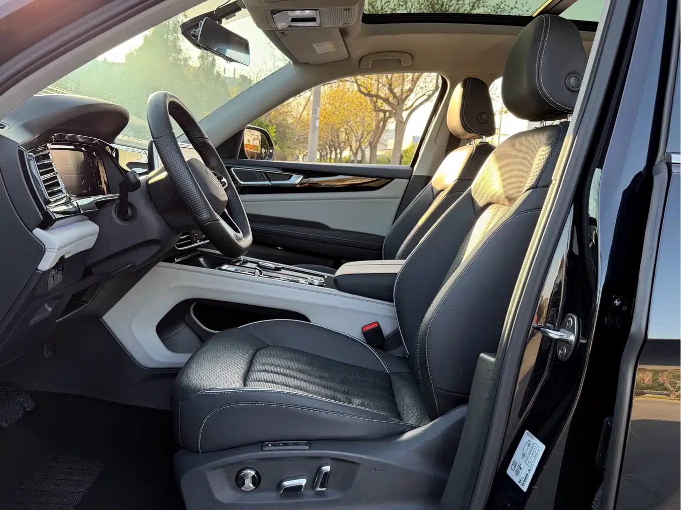 Volkswagen Teramont 2021 380TSI 4WD Premium Luxury Edition фото 7