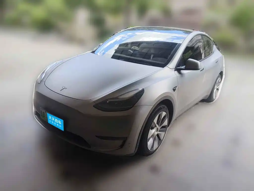 Tesla Model Y 2021 Long Range All-Wheel Drive 3D7