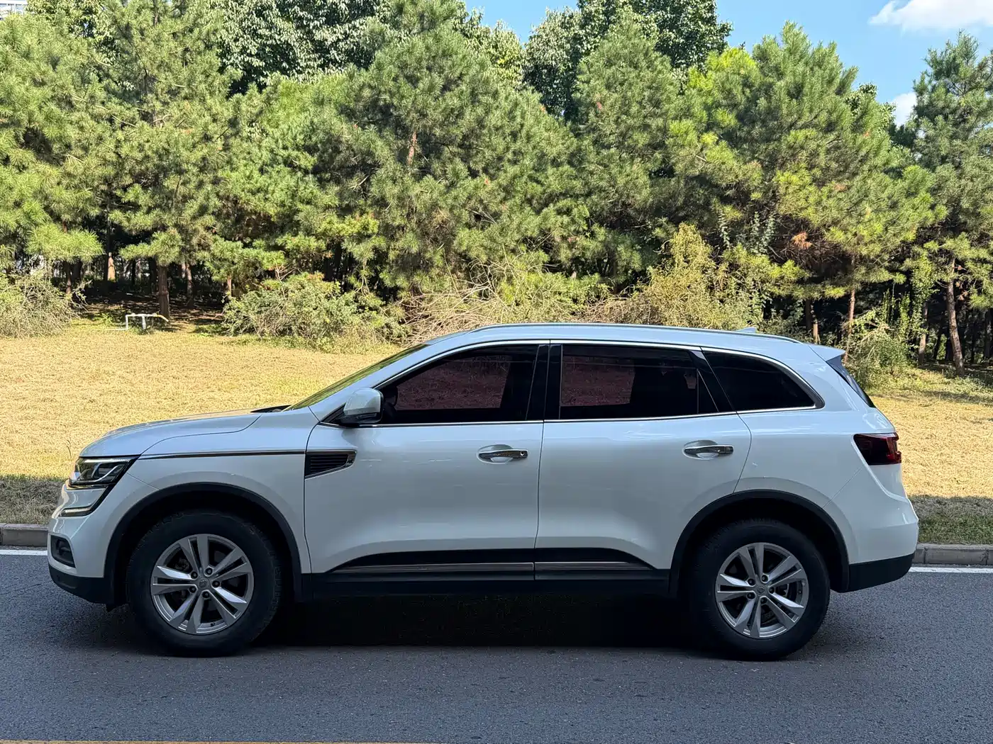 Renault Koleos 2018 2018 2.0L 2WD Leading Edition