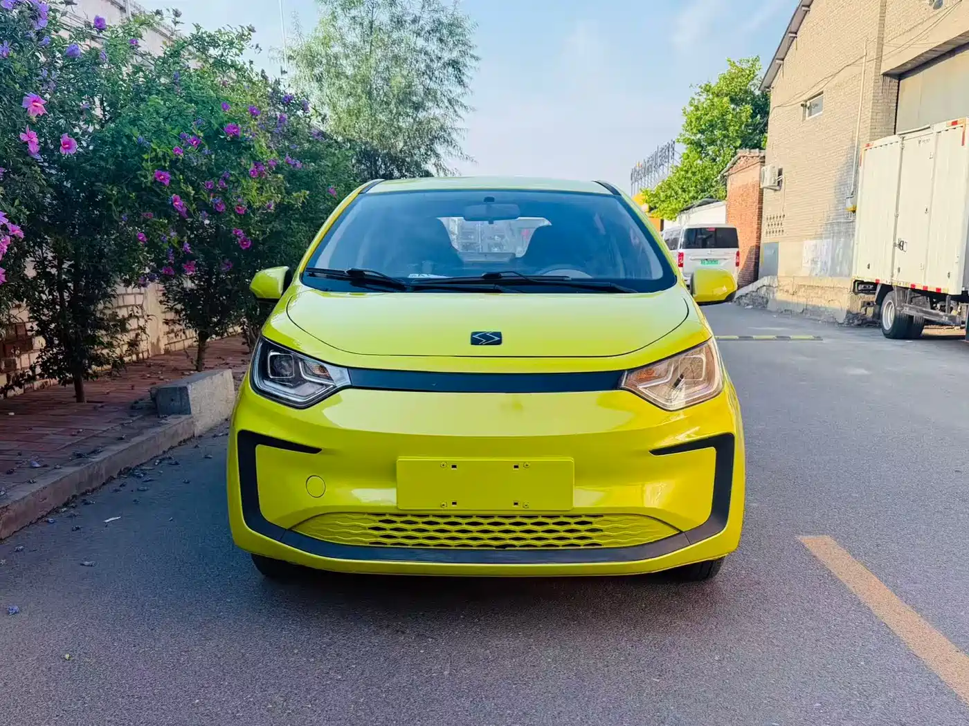 Sehol Flower Fairy 2021 2021 200km Classic Edition