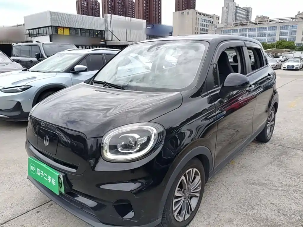 Leapmotor T03 2020 2020 400 Luxury Edition