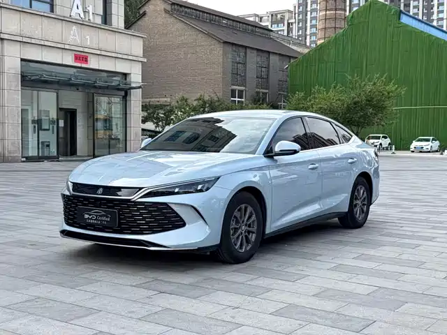 BYD Qin L DM-i 80KM, Лидер