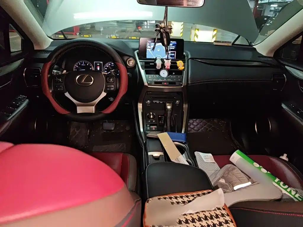 Фото 13 - Lexus NX