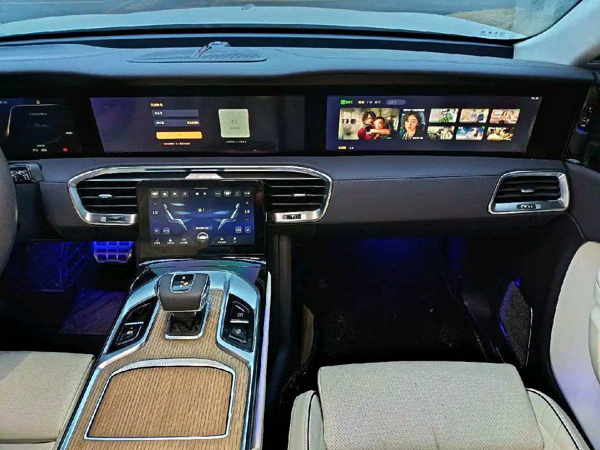 Hongqi E-HS9 2022 660km Qi Ling Edition (4-seater) фото 20