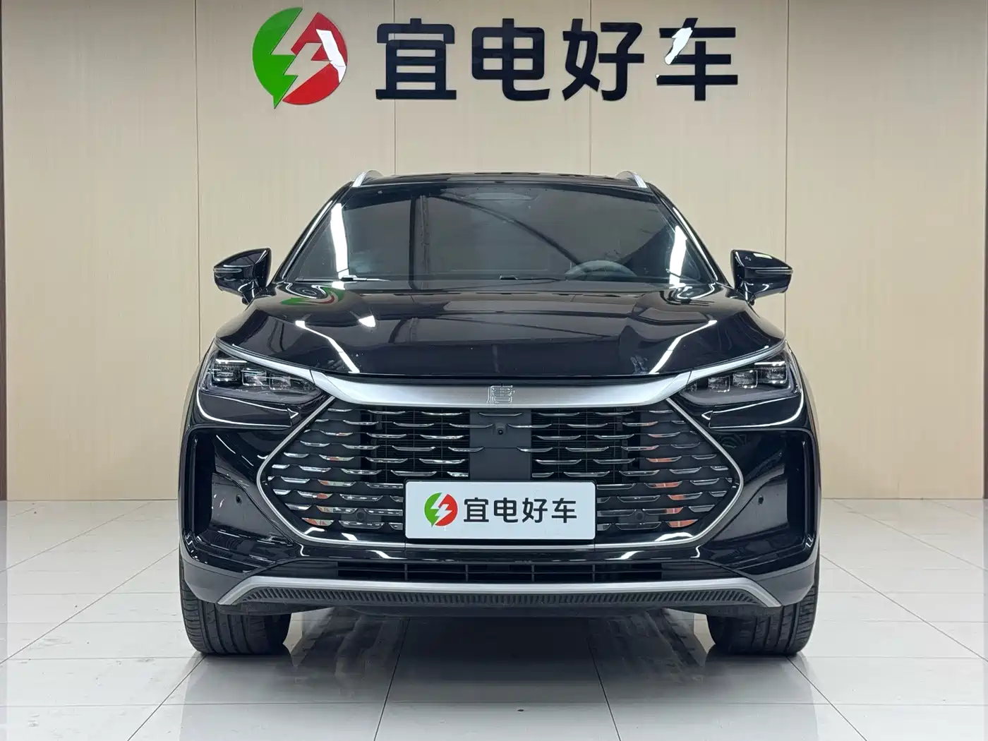 BYD Tang New Energy 2025 2025 Smart Driving Edition DM-i 115KM Honor