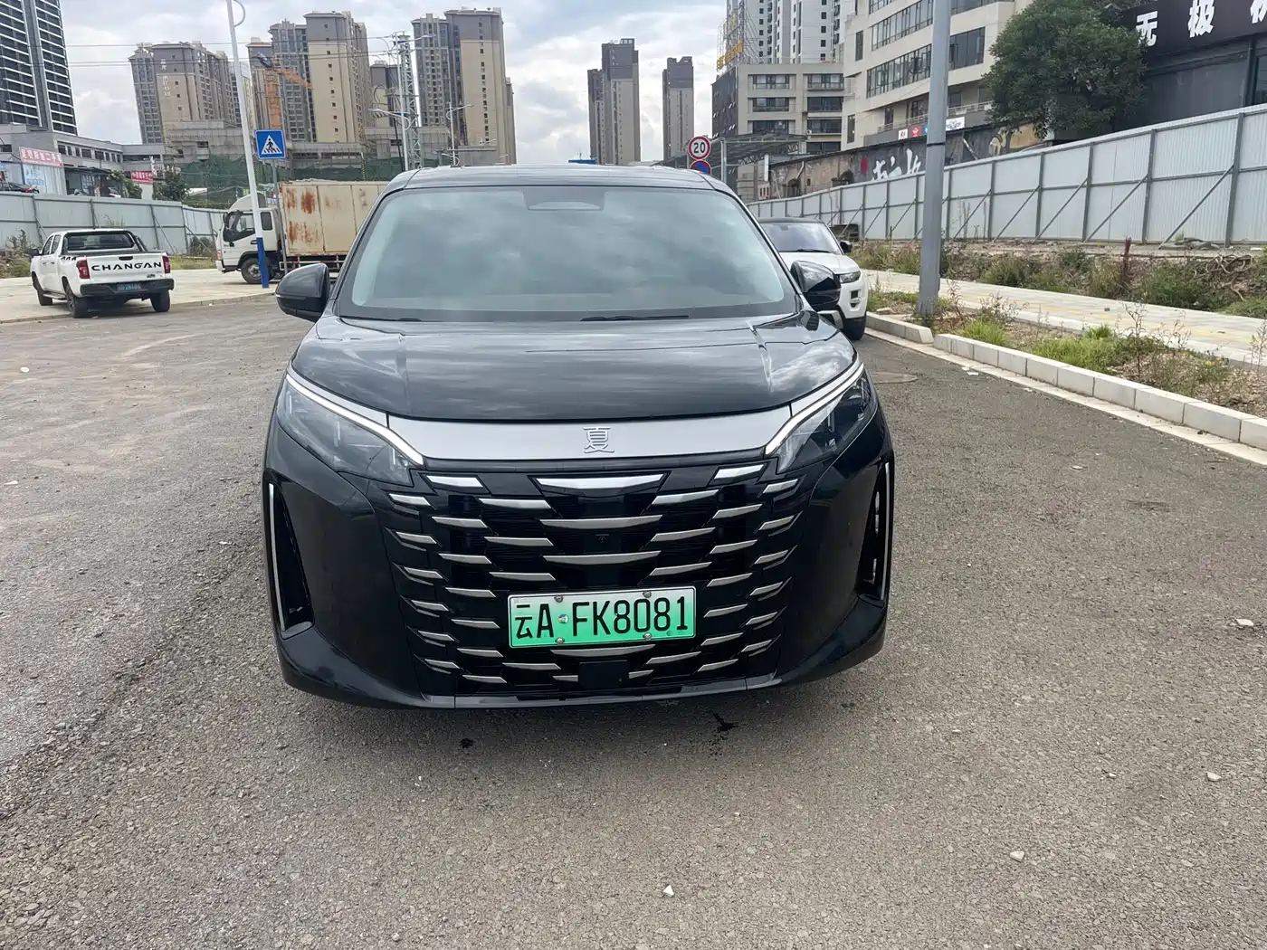 BYD Xia 2025 2025 DM-i 1.5T 180km Excellence