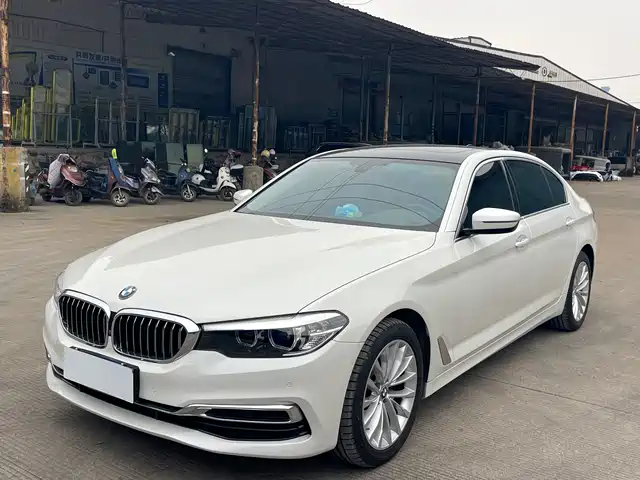 BMW 5 Series 2020 530Li Leading Luxury Package