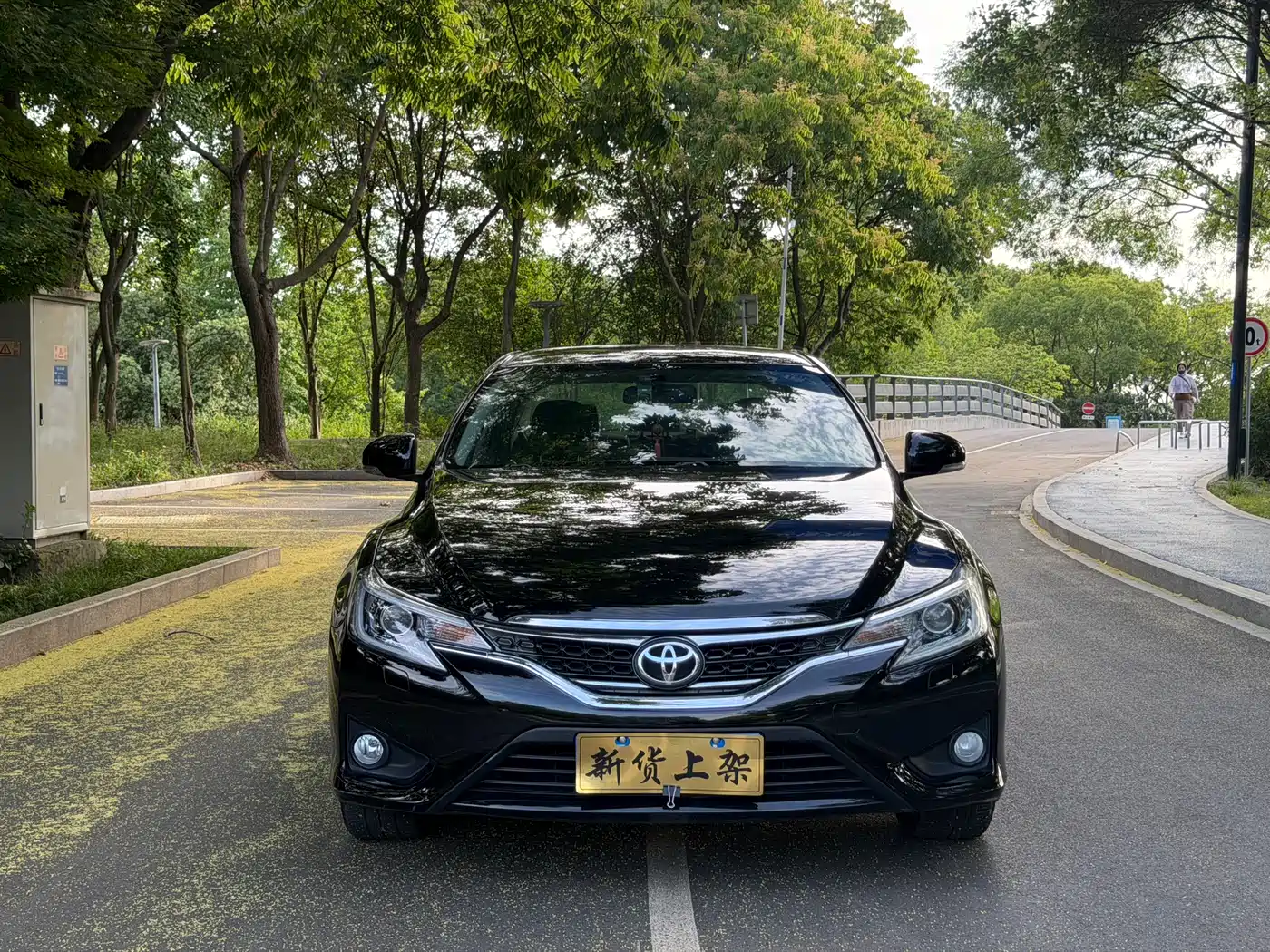 Toyota Reiz 2016 2013 2.5S Elite Edition
