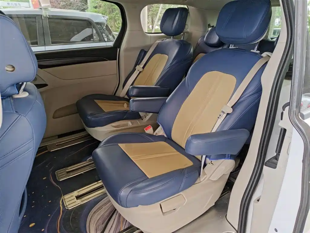 Buick GL8 2023 ES Landmaster Comfort фото 13