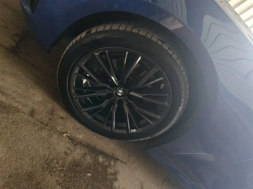 BMW 3 Series 2020 325i M Sport Black Night Package фото 23