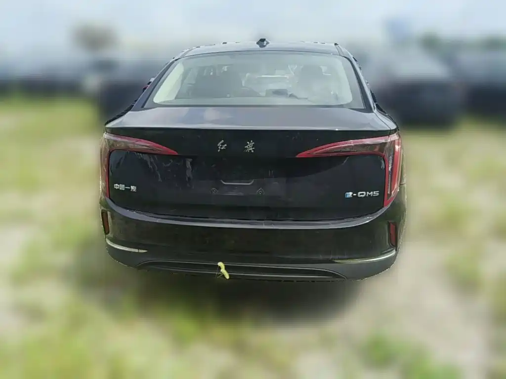 صورة 8 - Hongqi E-QM5