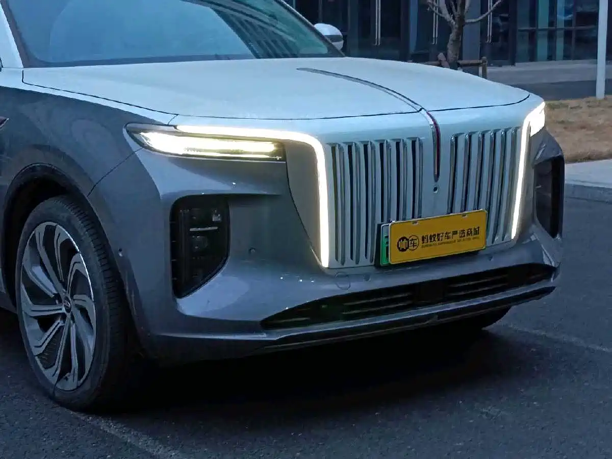 Hongqi E-HS9 2022 660km Qi Ling Edition (4-seater) фото 7