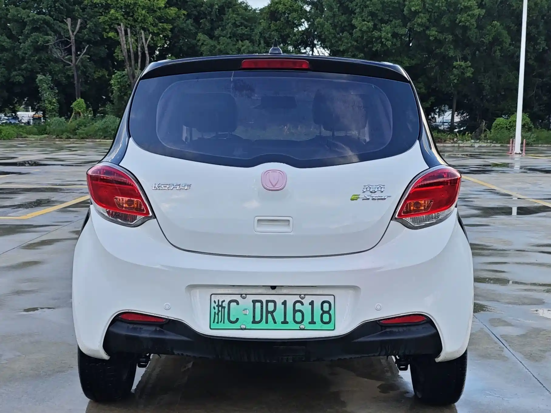 Фото 4 - Changan Benben E-Star