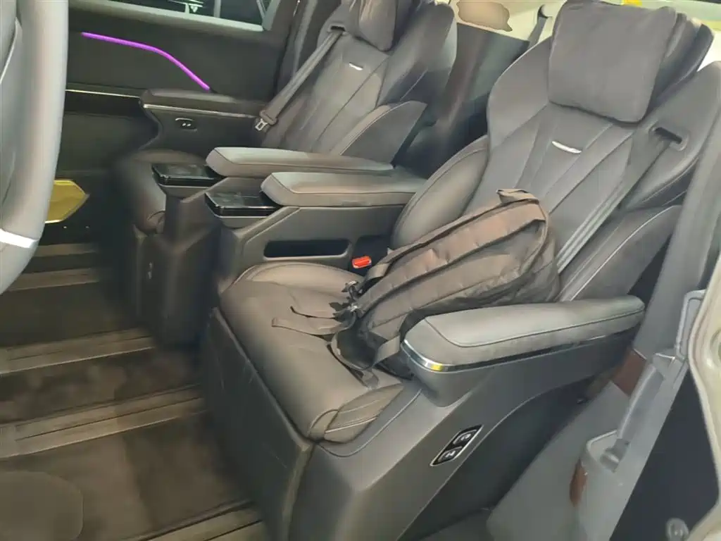 Hongqi HQ9 PHEV 2024 Model 2.0T AWD Luxury Edition фото 17