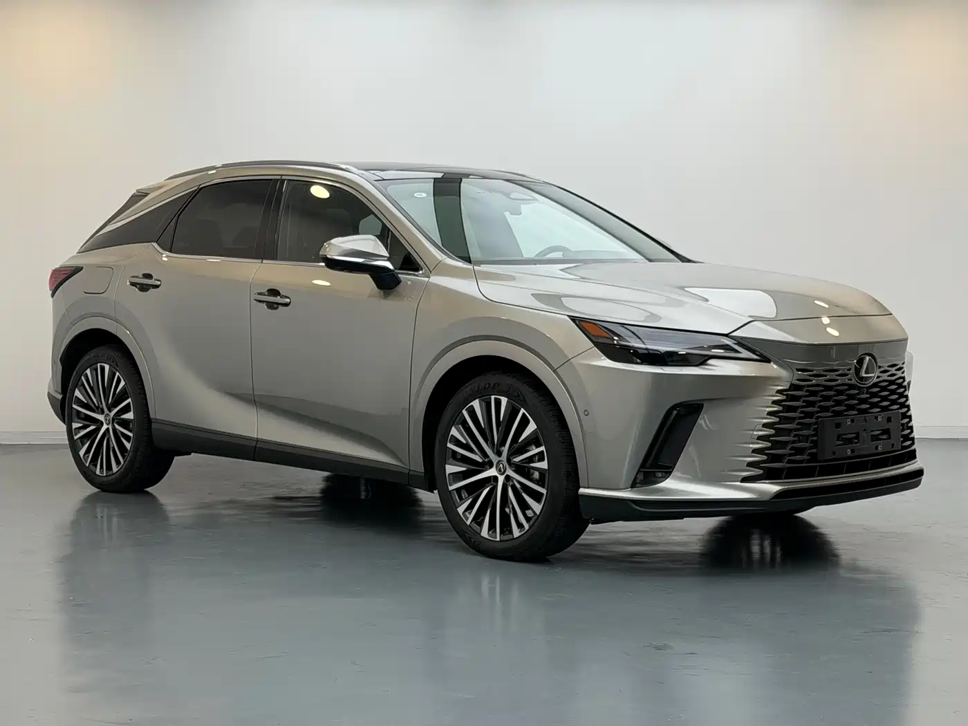 Lexus RX New Energy 2023 450h+ 4WD Enjoyment фото 3