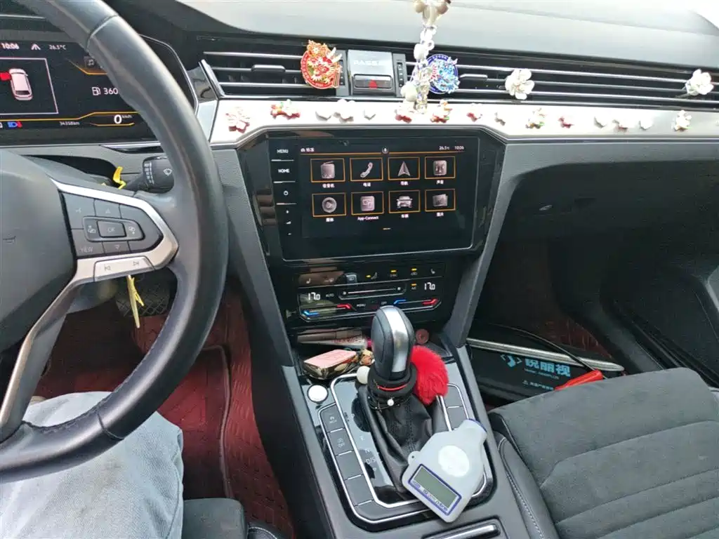 Volkswagen Weilan 2021 2.0T Smooth Ride Edition фото 13