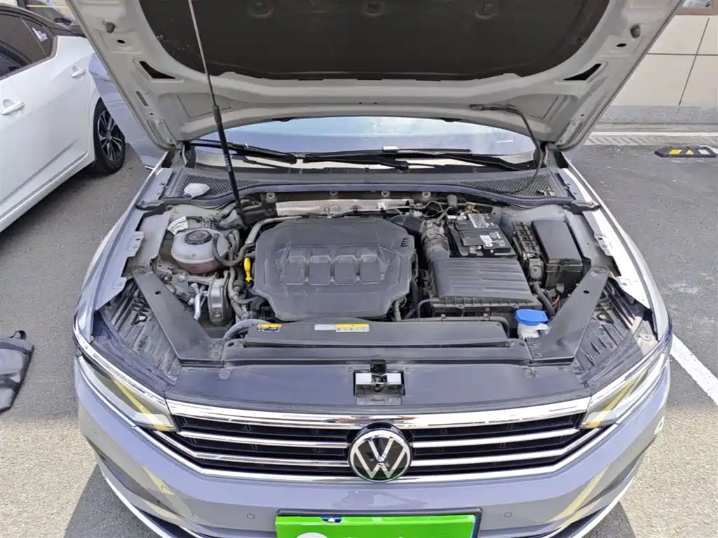 Volkswagen Weilan 2021 2.0T Smooth Ride Edition фото 20