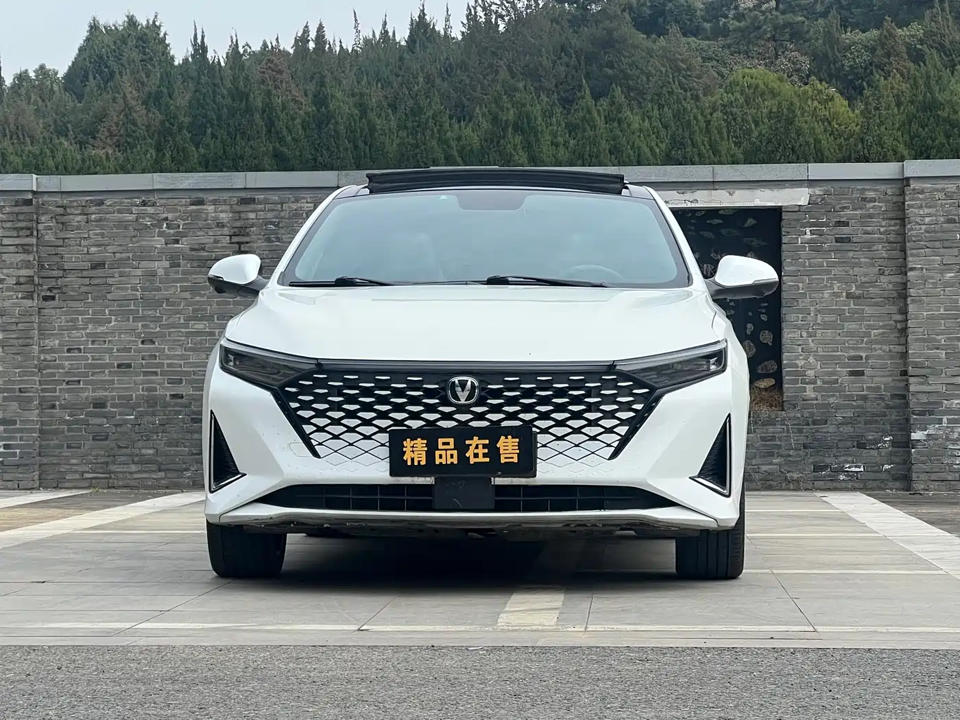 CHANGAN RUICHENG PLUS