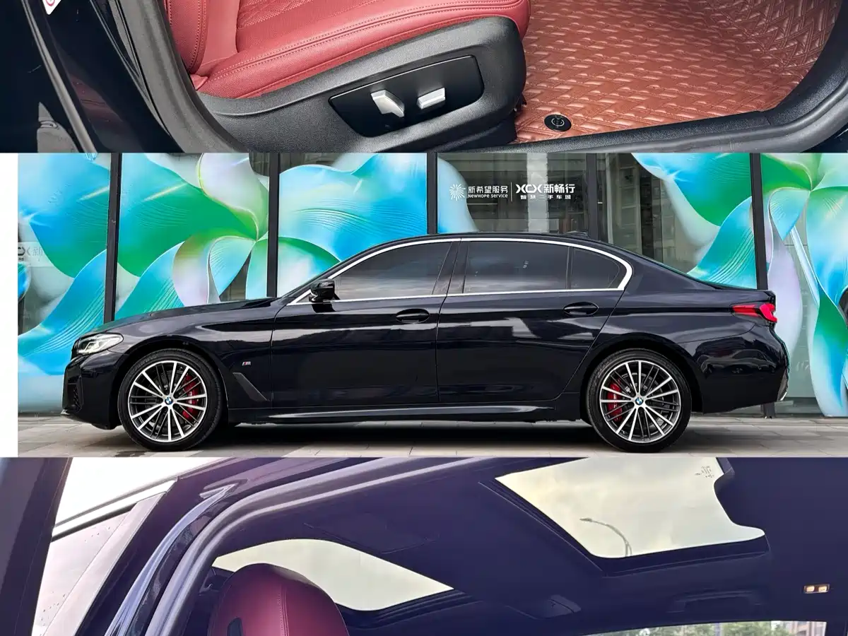 BMW 5 Series 2021 530Li Leading M Sport Package фото 5