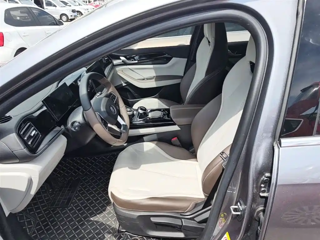 BYD Qin PLUS 2025 DM-i Smart Drive 55KM Leader фото 15