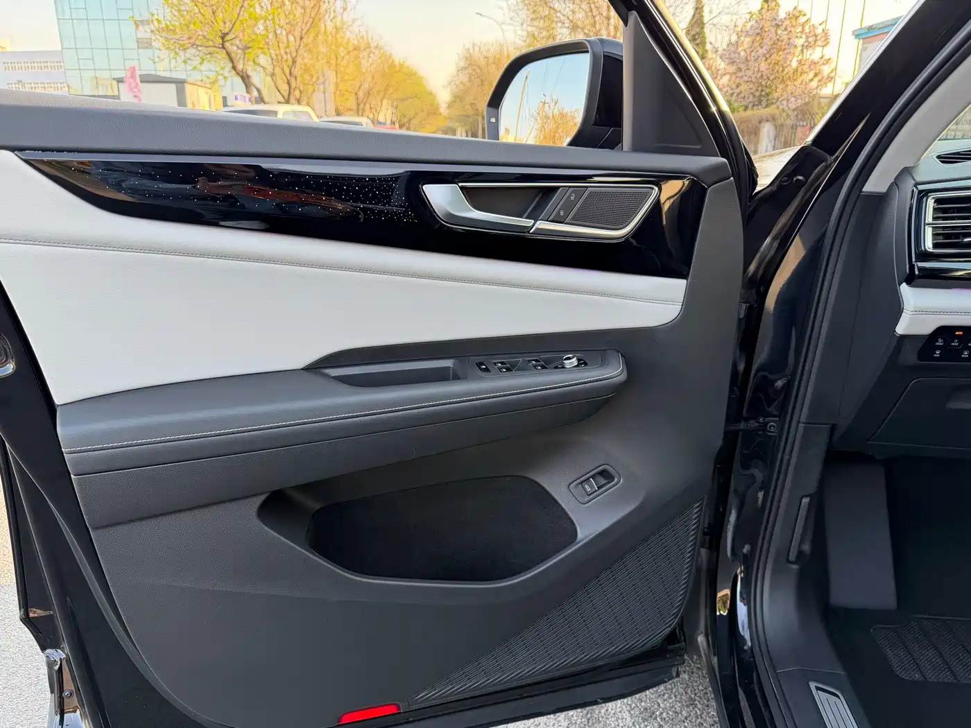 Volkswagen Teramont 2021 380TSI 4WD Premium Luxury Edition фото 8