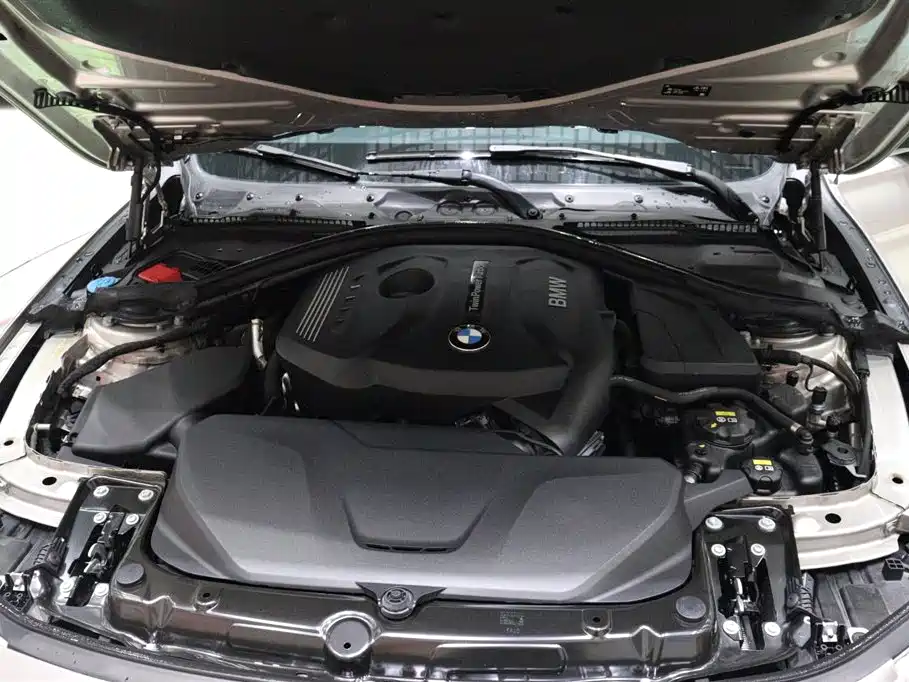 BMW 3 Series 2018 320Li Fashion Style фото 26
