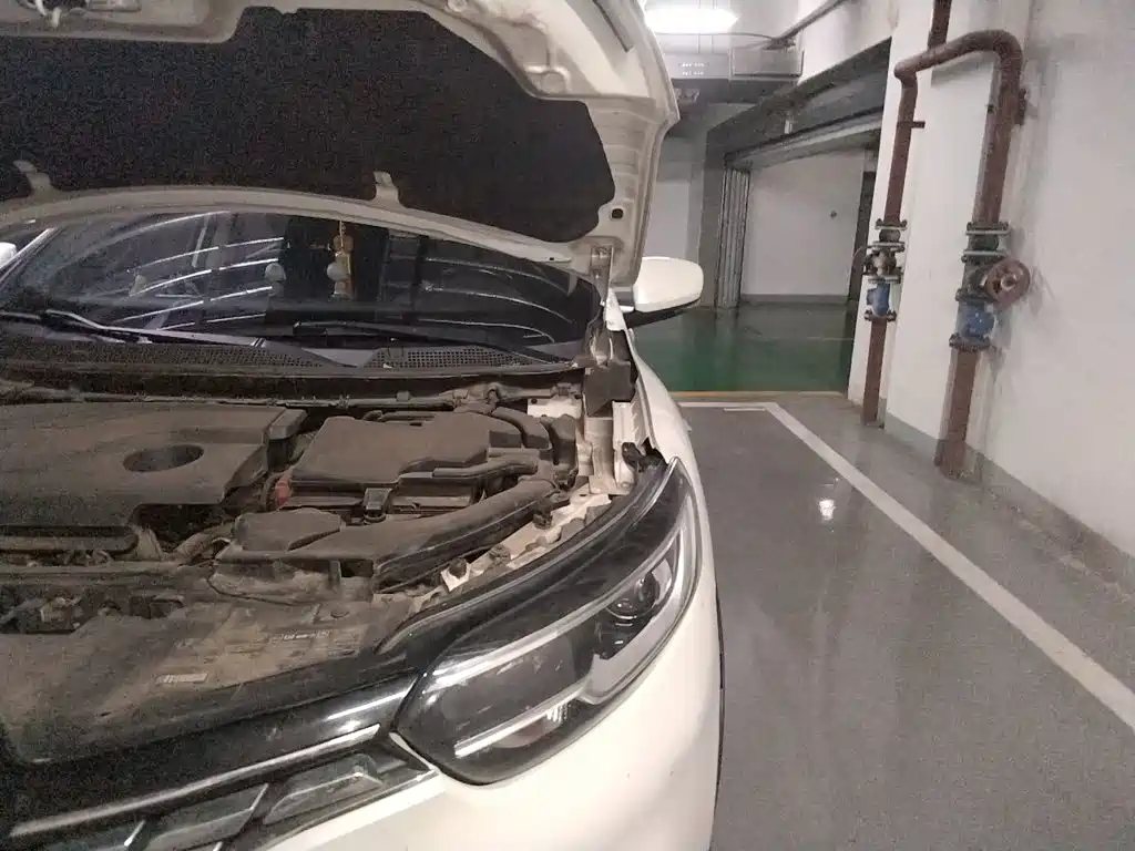 Renault Kadjar 2017 2016 2.0L 2WD Premium Edition