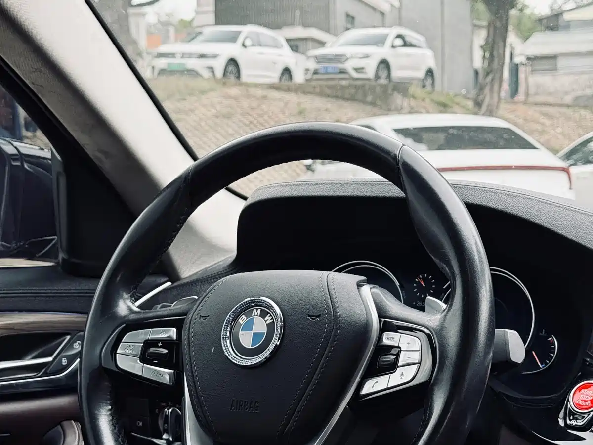 BMW 5 Series 2018 Facelift 530Li Leading Luxury Package фото 27