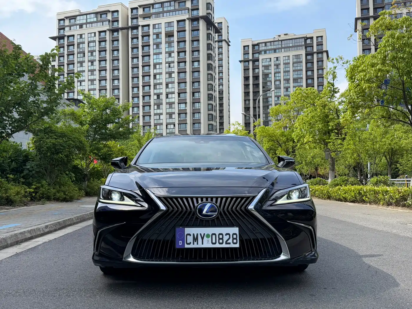 Lexus ES 2018 300h Excellence Edition China V фото 2