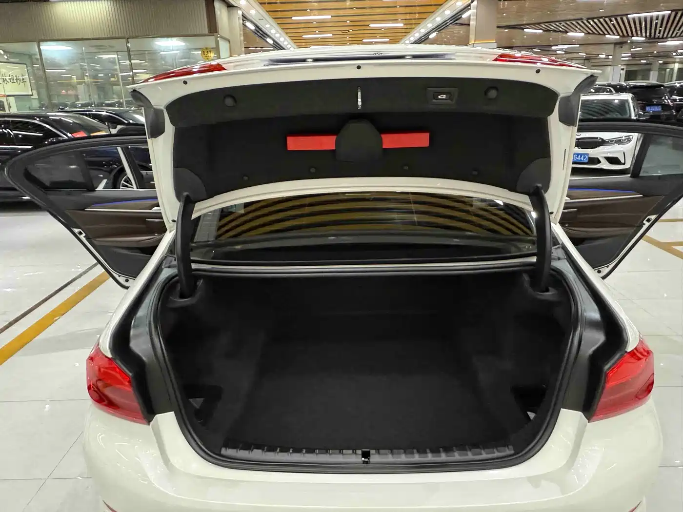 BMW 5 Series 2019 530Li Leading Luxury Package фото 16