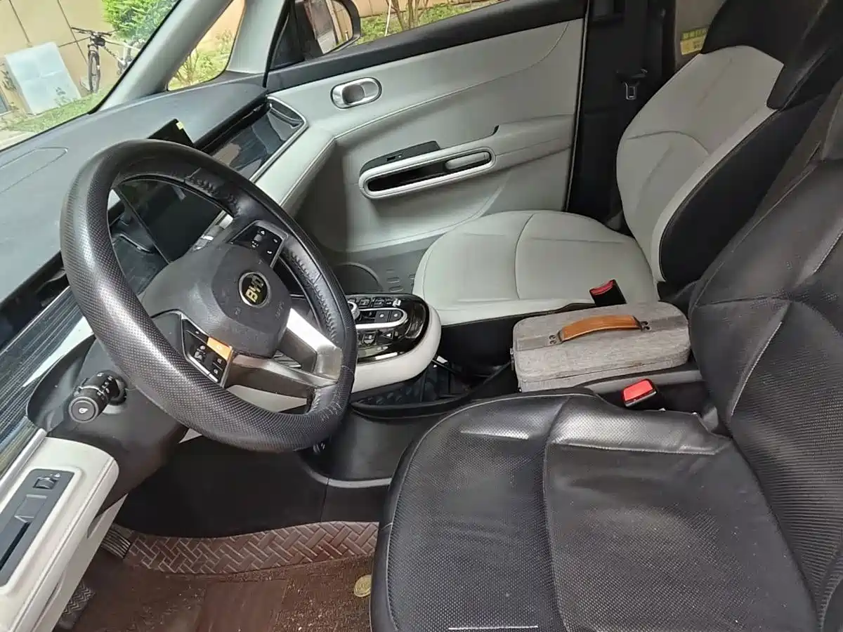BYD D1 2020 2021 Pioneer Edition