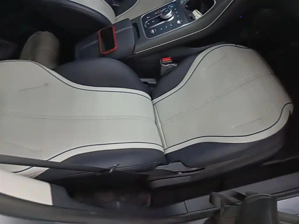 BYD Destroyer 05 2024 Glory Edition DM-i 55KM Luxury фото 25