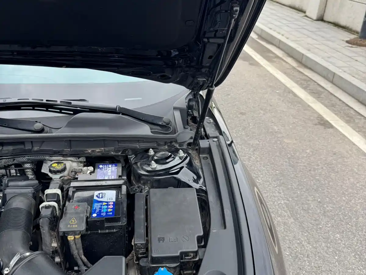 Hongqi H5 2023 2.0T Auto Smart Connect Flag Comfort фото 17
