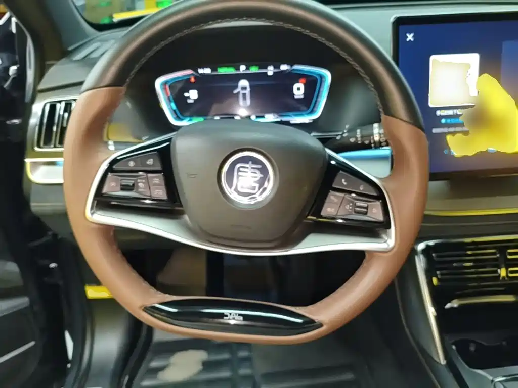 BYD Tang New Energy 2021 DM-i 112KM Honor фото 11