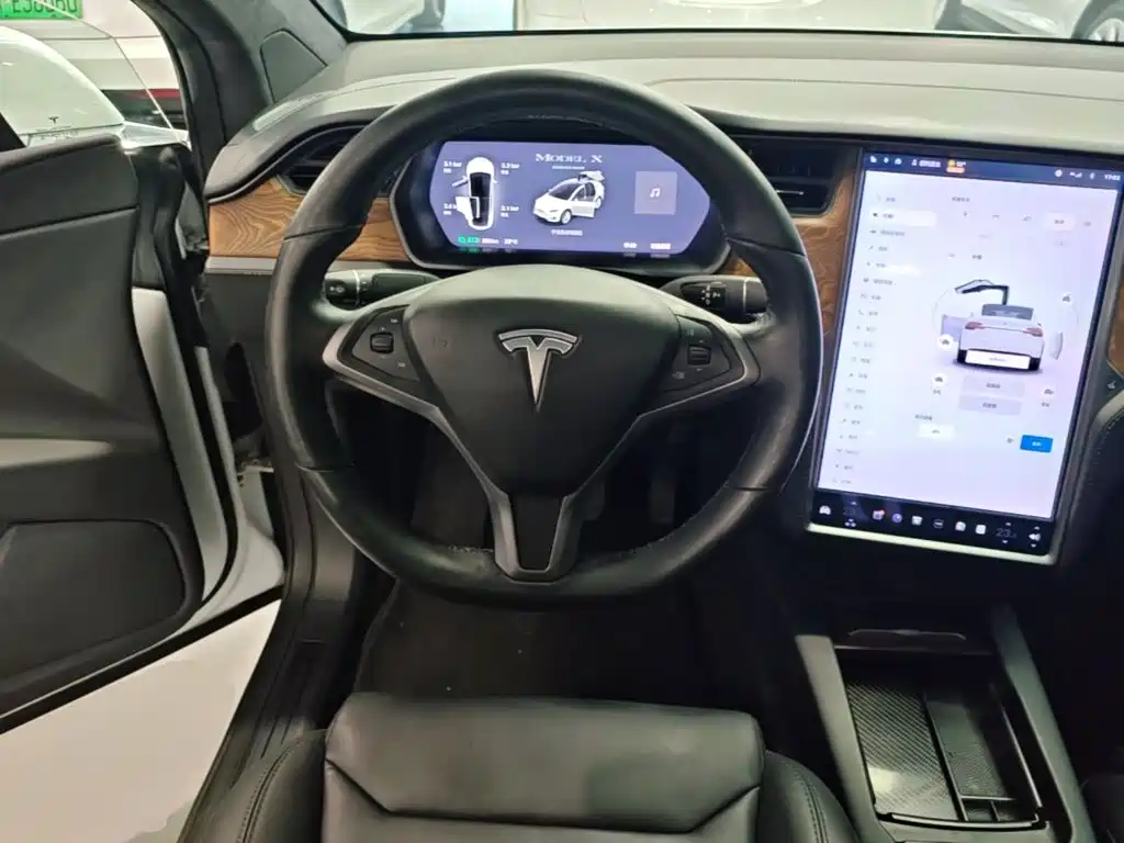 Фото 11 - Tesla Model X