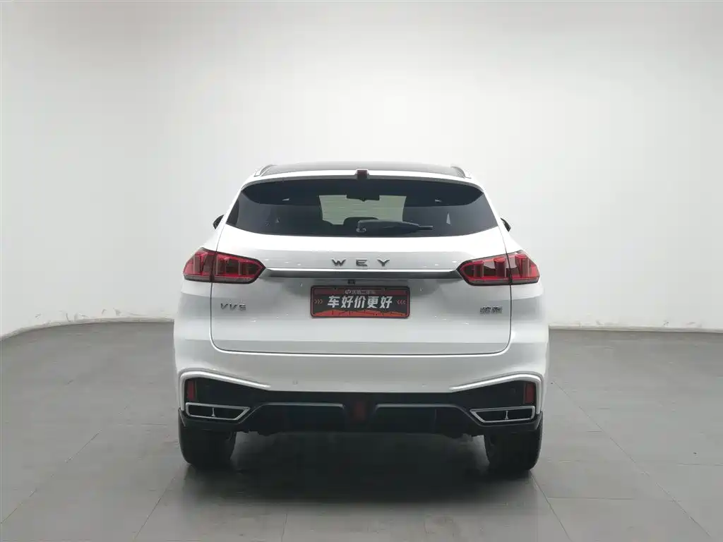 WEI PAI WEI BRAND VV5