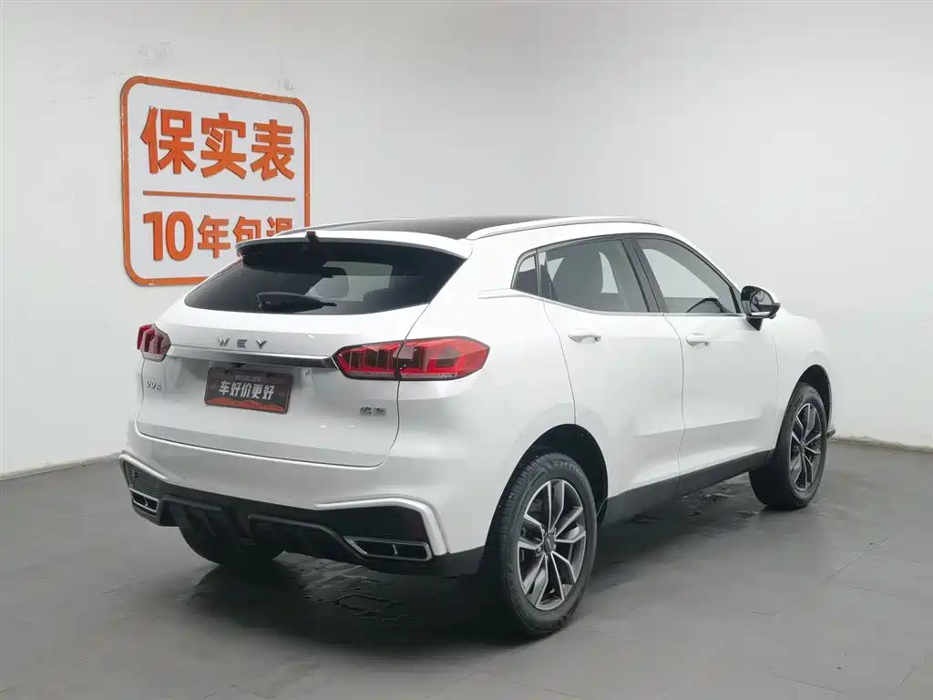 WEI PAI WEI BRAND VV5