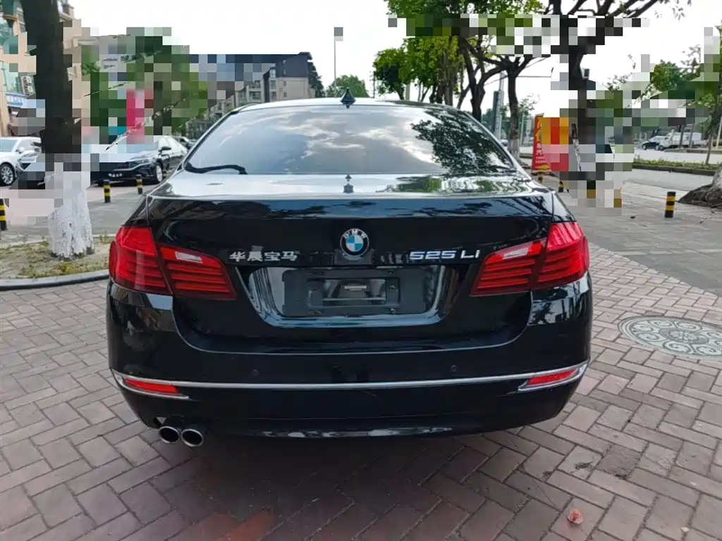 BMW 5 Series 2014 525Li Luxury Design Package фото 6