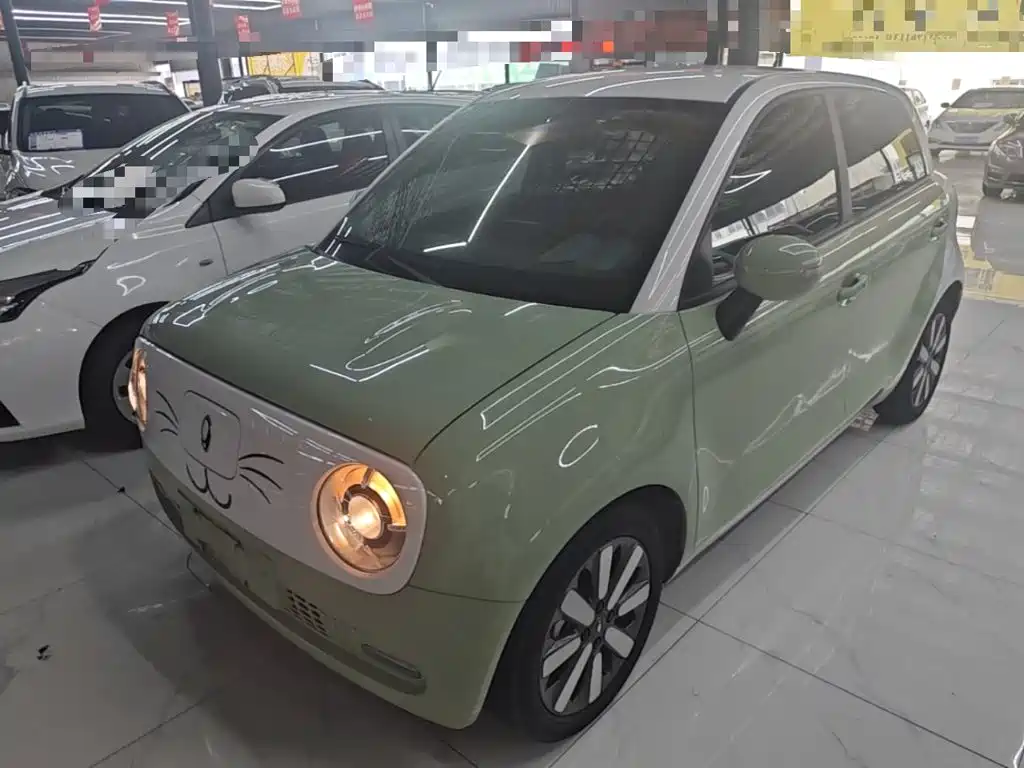 Ora Black Cat 2022 2022 351km Standard (NMC)