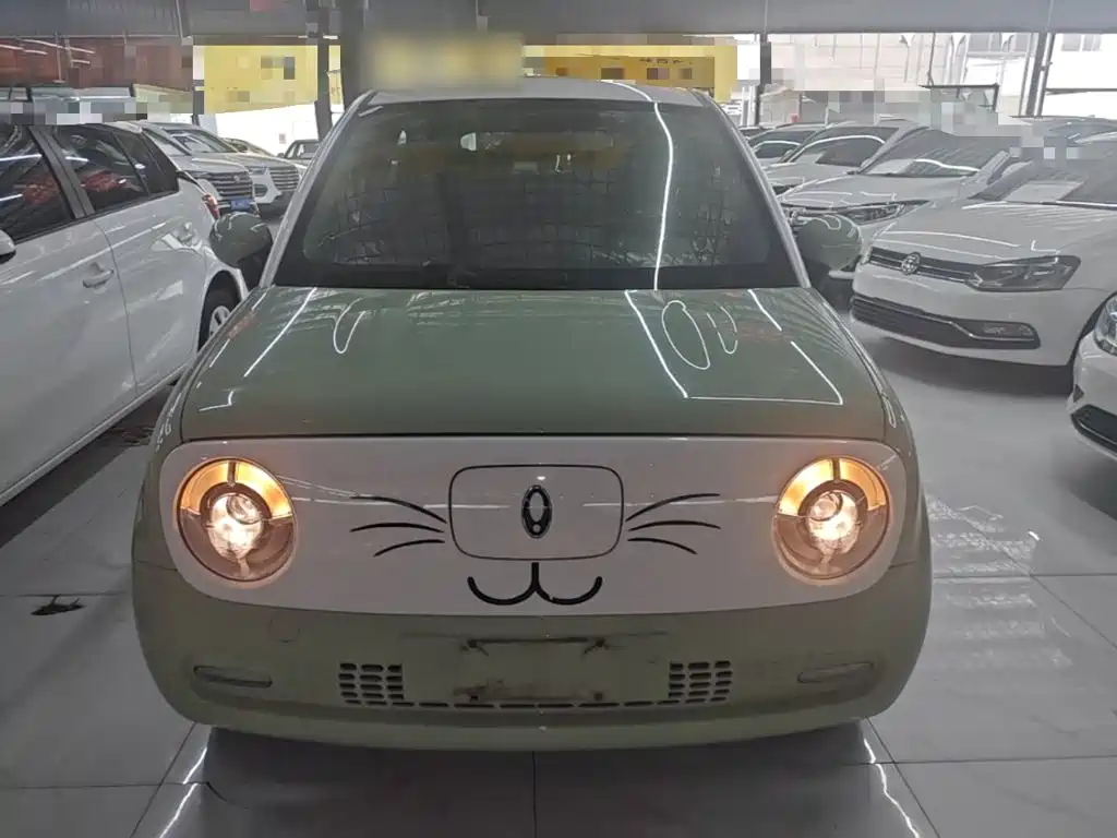 Ora Black Cat 2022 2022 351km Standard (NMC)