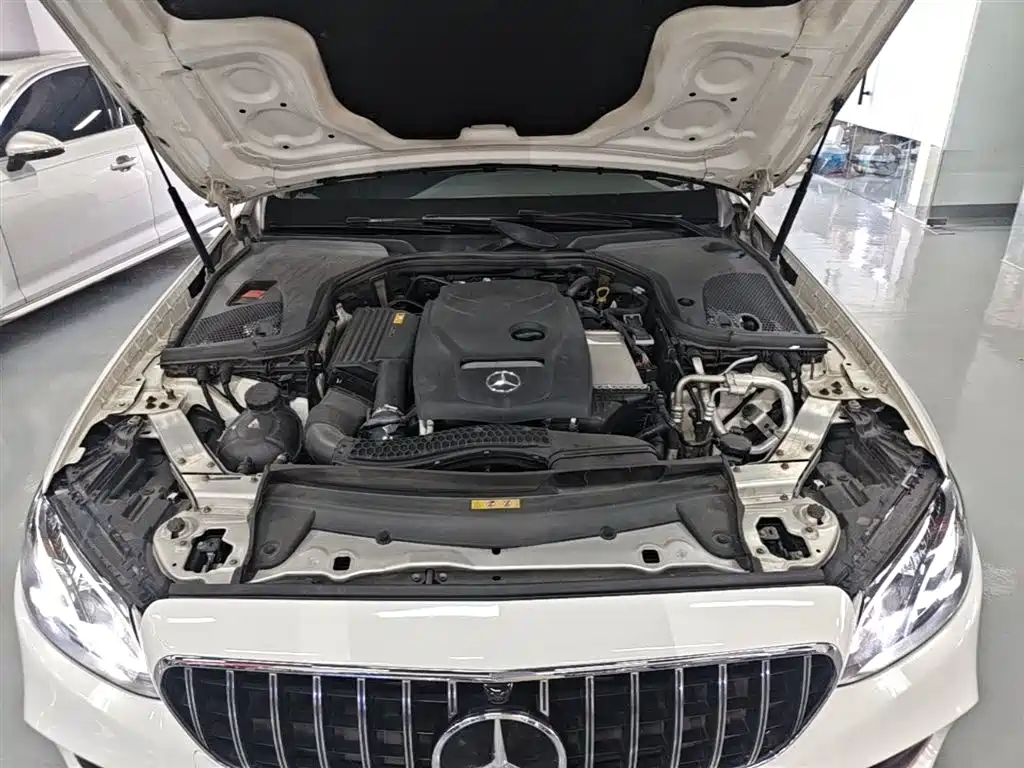 Mercedes-Benz E-Class 2018 Facelift E 300 L Sport Fashion фото 20