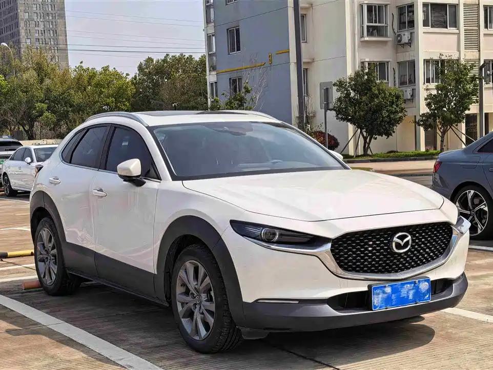 CX 30