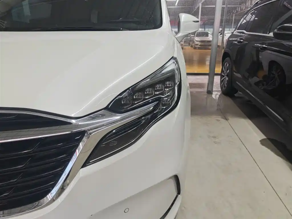 Buick GL8 2021 ES Landlord 653T Premium фото 24
