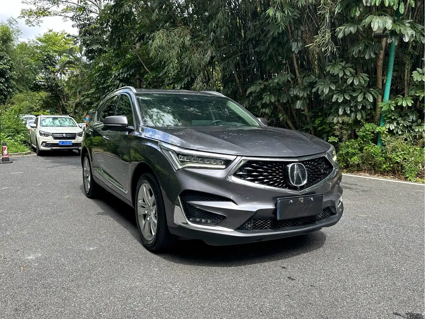 Acura RDX 2021 2019 2.0T Diamond Edition SH-AWD China VI