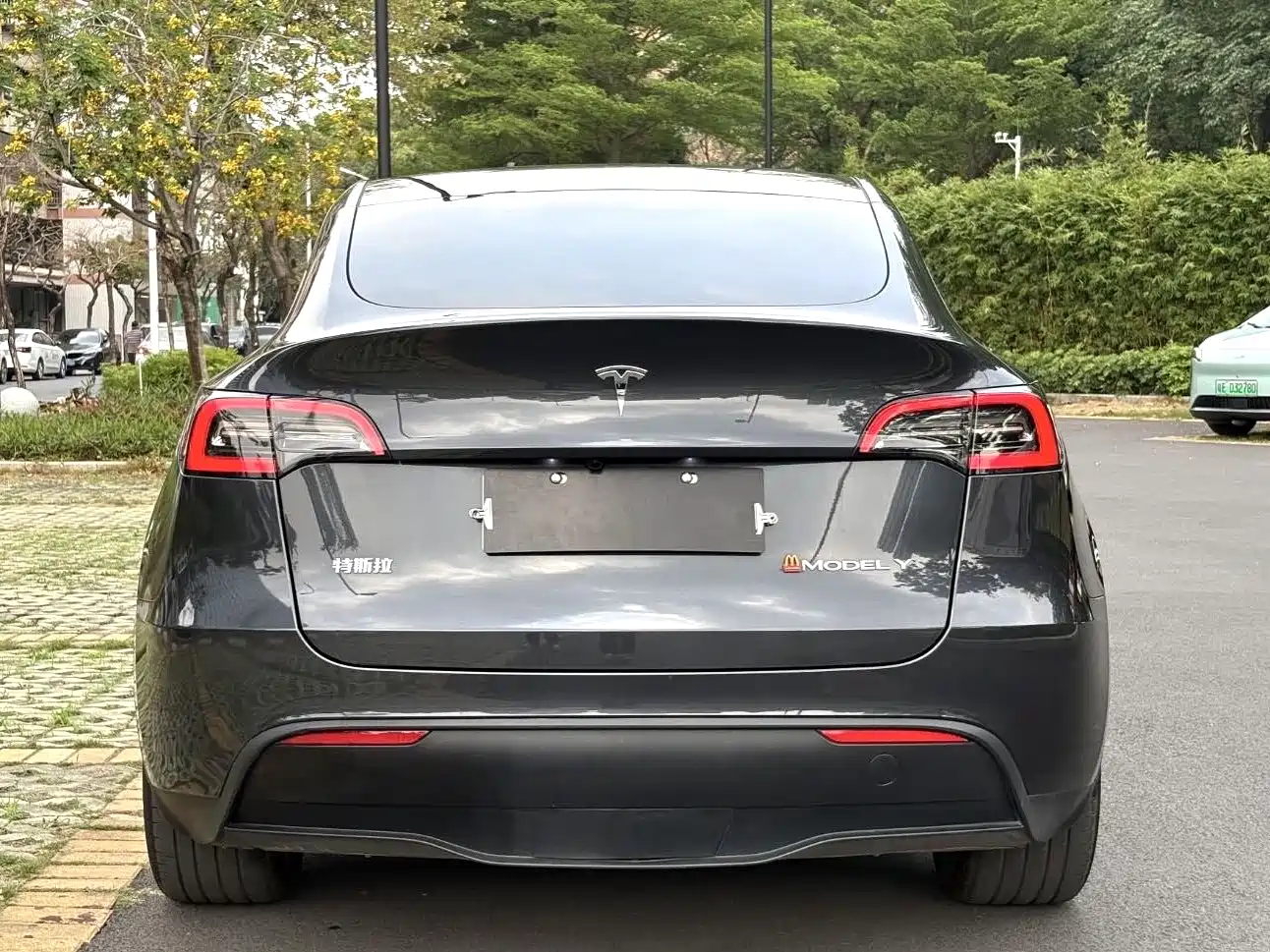 TESLA MODEL Y
