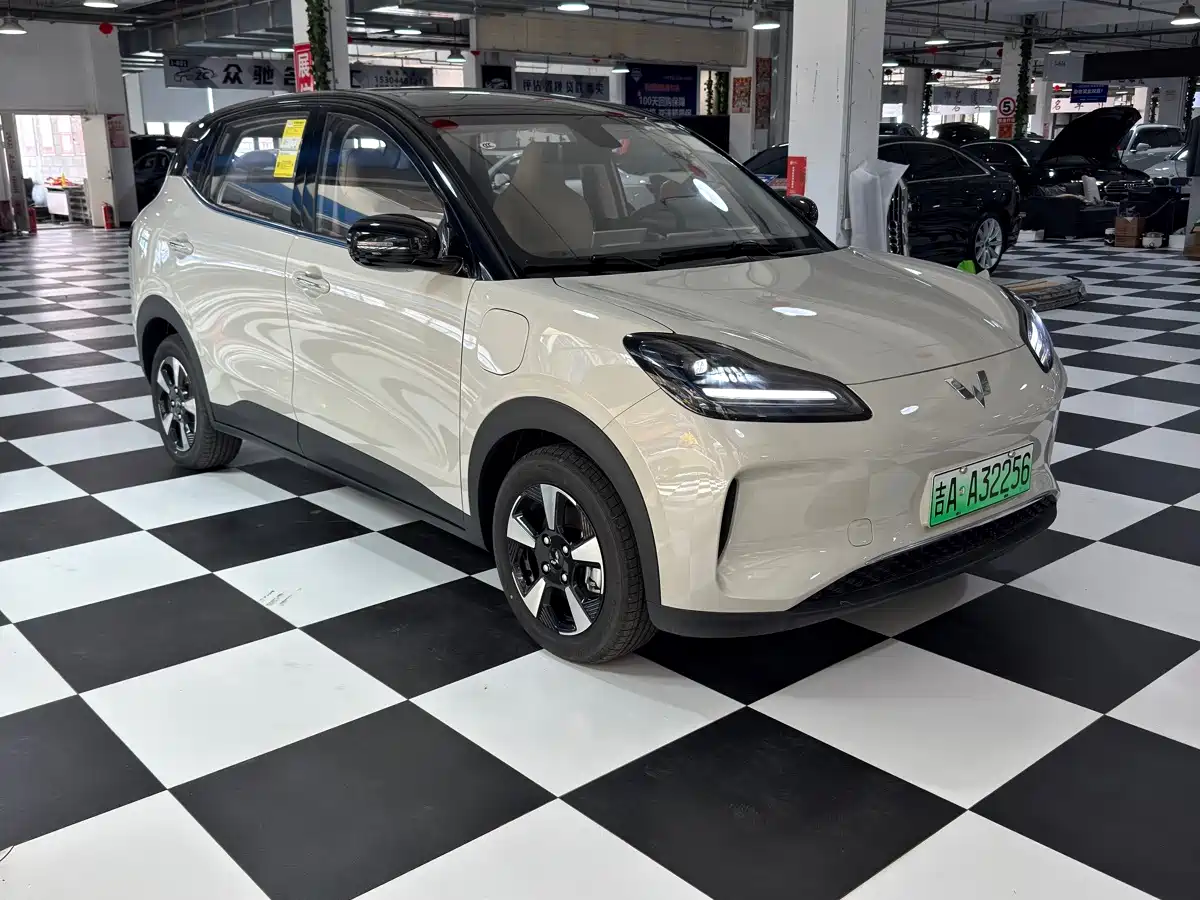 2026 Wuling Motors Wuling Binguo PLUS