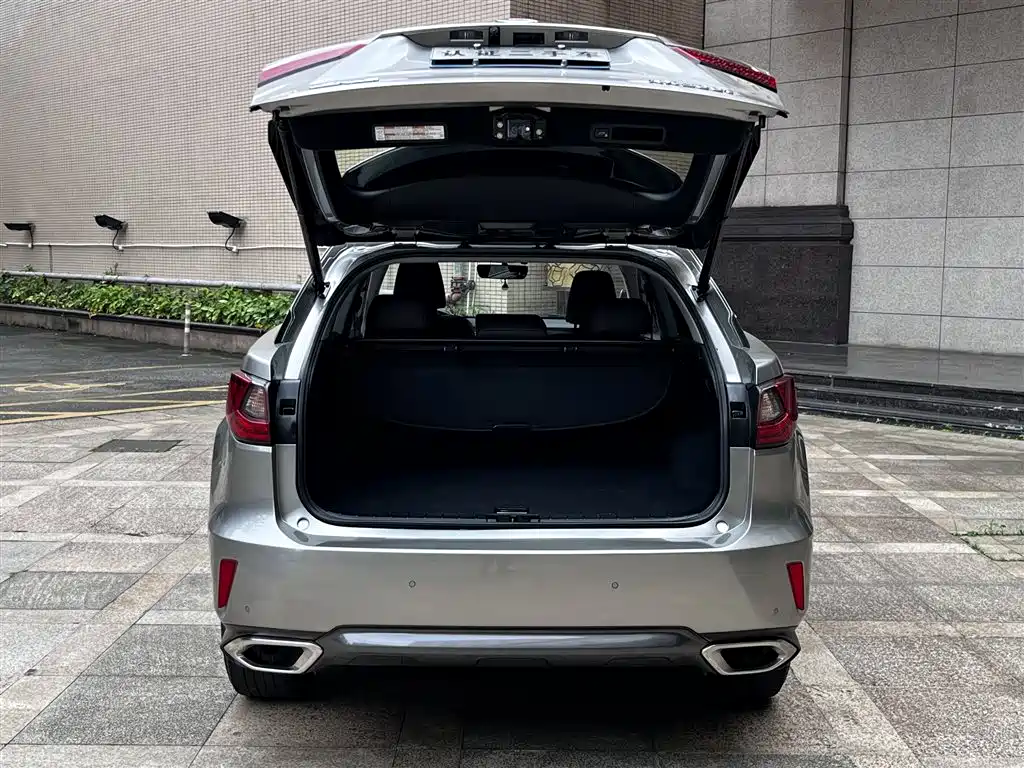 Lexus RX 2016 300 2WD Comfort Edition China V фото 22