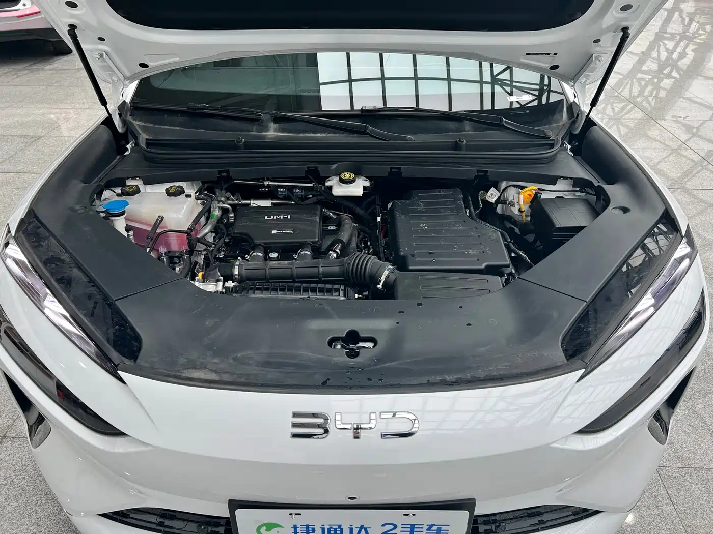 BYD SEA LION 06 NEW ENERGY