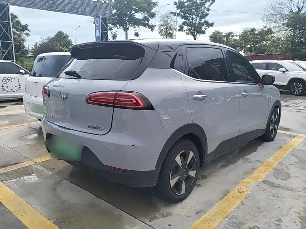 Wuling Motors Wuling Binguo PLUS 2024 2024 Model 510km Flagship Edition 4-Seater